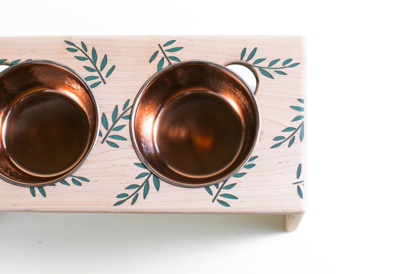 pet bowl