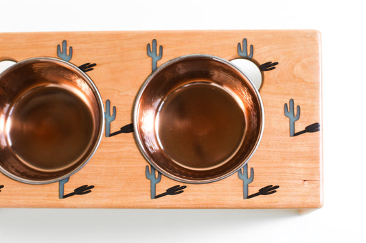 pet bowl