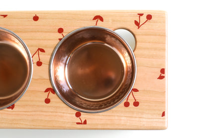 pet bowl